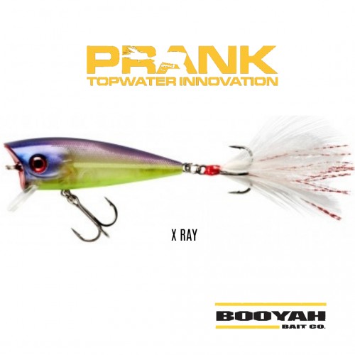 Amostra Booyah Prank