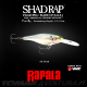 Amostra Rapala Shad Rap 07