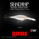 Amostra Rapala Shad Rap 07