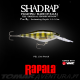 Amostra Rapala Shad Rap 07