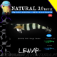 Lemar Natural Squid Jig 3.0