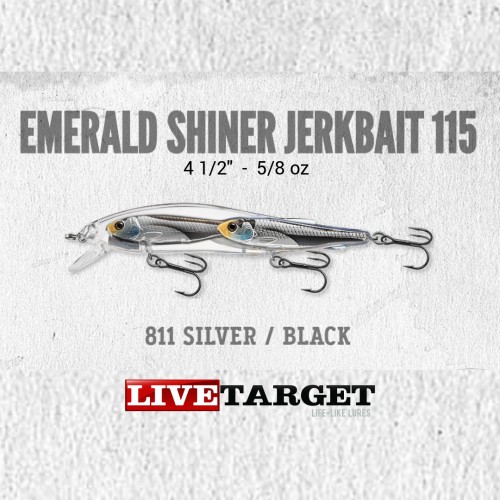 Amostra Livetarget BaitBall Emerald Shiner Jerkbait 115
