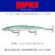Amostra Rapala MaxRap 17