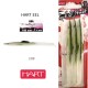 Amostra Hart Rock & Street Eel