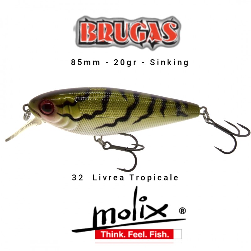 Amostra Molix Brugas