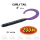 Curly Tail Worm
