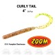 Curly Tail Worm