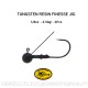 Baitsfishing Tungsten Resin Finesse Jig