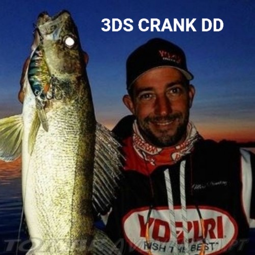 Yo-Zuri 3DS Crank Deep Diver 65F