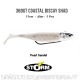 Amostra Storm 360GT Coastal Biscay Shad 12cm