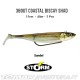 Amostra Storm 360GT Coastal Biscay Shad 12cm