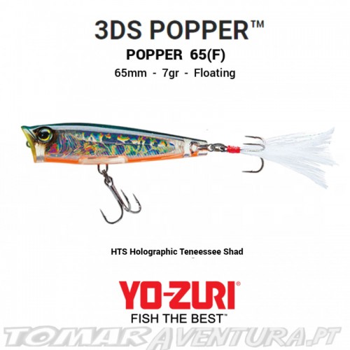 Amostra Yo-Zuri 3DS Popper 65 F