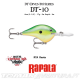 Amostra Rapala DT-10