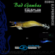 SunSet Squid Jig Bad Gambas 3,0