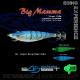 SunSet SunSquid Big Mamma 70mm/10g