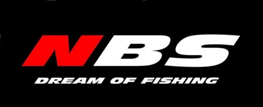 NBS LOGO.png