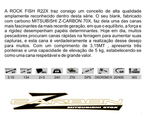 R22X CARACT 1.png